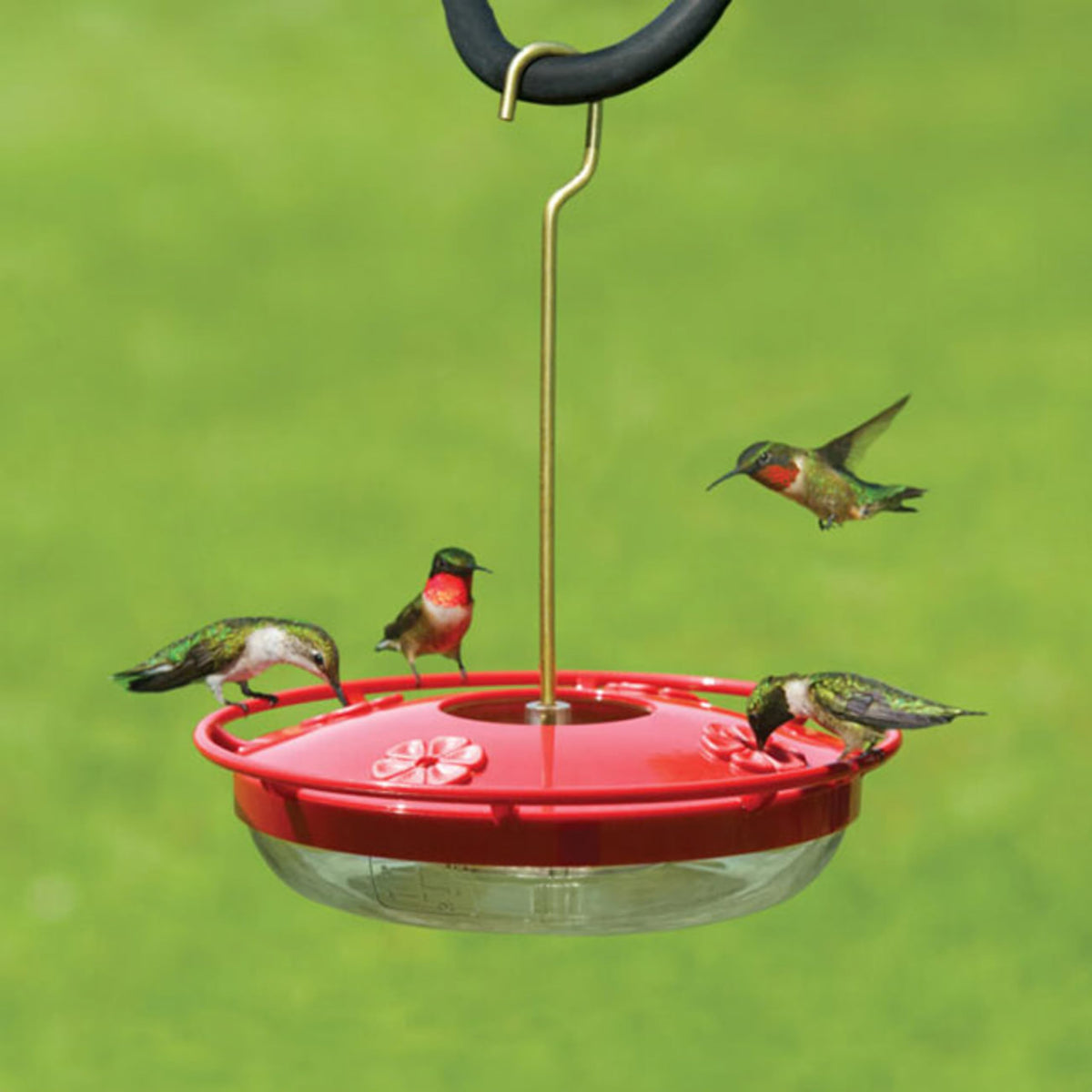 Close look at the HighView perch on the Aspects feeder