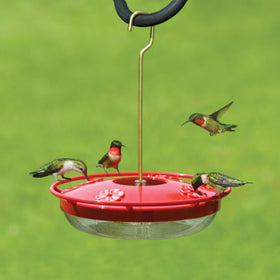 Close look at the HighView perch on the Aspects feeder