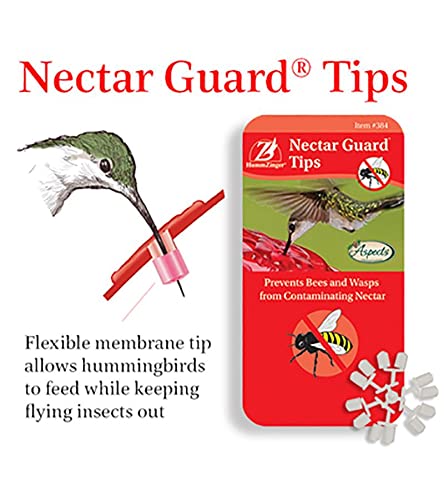 Aspects nectar guard tip on a hummingbird feeder deters bees