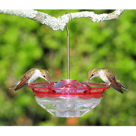 Aspects Mini HummBlossom feeder displayed in a group setup invites more birds.