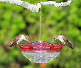 Aspects Mini HummBlossom feeder demonstrates ample perching space for hummingbirds.