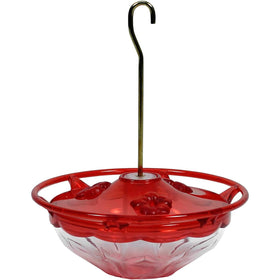 Aspects Mini HummBlossom feeder rose close-up highlighting compact design for small spaces.
