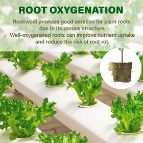 Asrnten MI0512 cube highlights sterile, inert medium ideal for clone propagation.