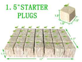 Asrnten MI0512 cube packaging demonstrates compact form for hydroponic setups.
