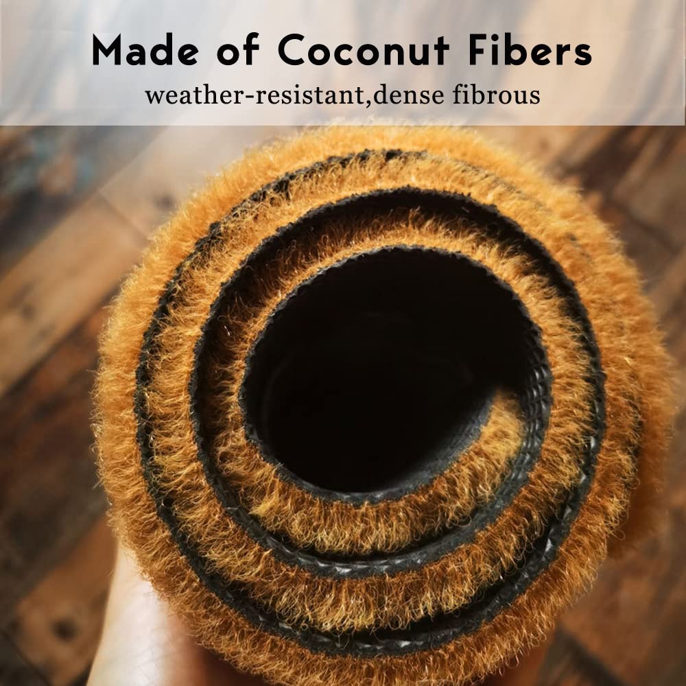 Assaoy coir mat with thick bristles scrapes mud from shoes.