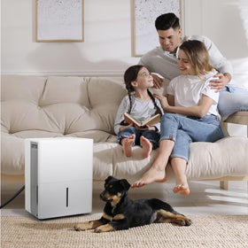atadbtae Black dehumidifier hose blends with interiors and stays discreet.
