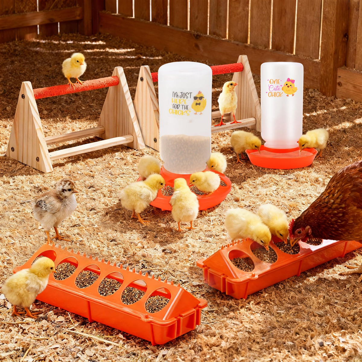 ATHCOHT automatic chick waterer 1L in action reduces spill and waste