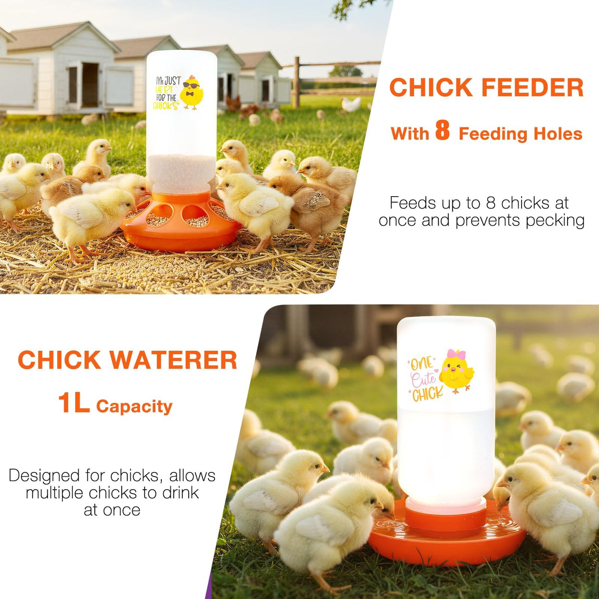 ATHCOHT chick perch assembly included for safe exercise in any coop