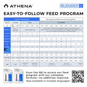 Dosing with Athena Blended Bloom A&B demonstrates adjustable bloom strength.