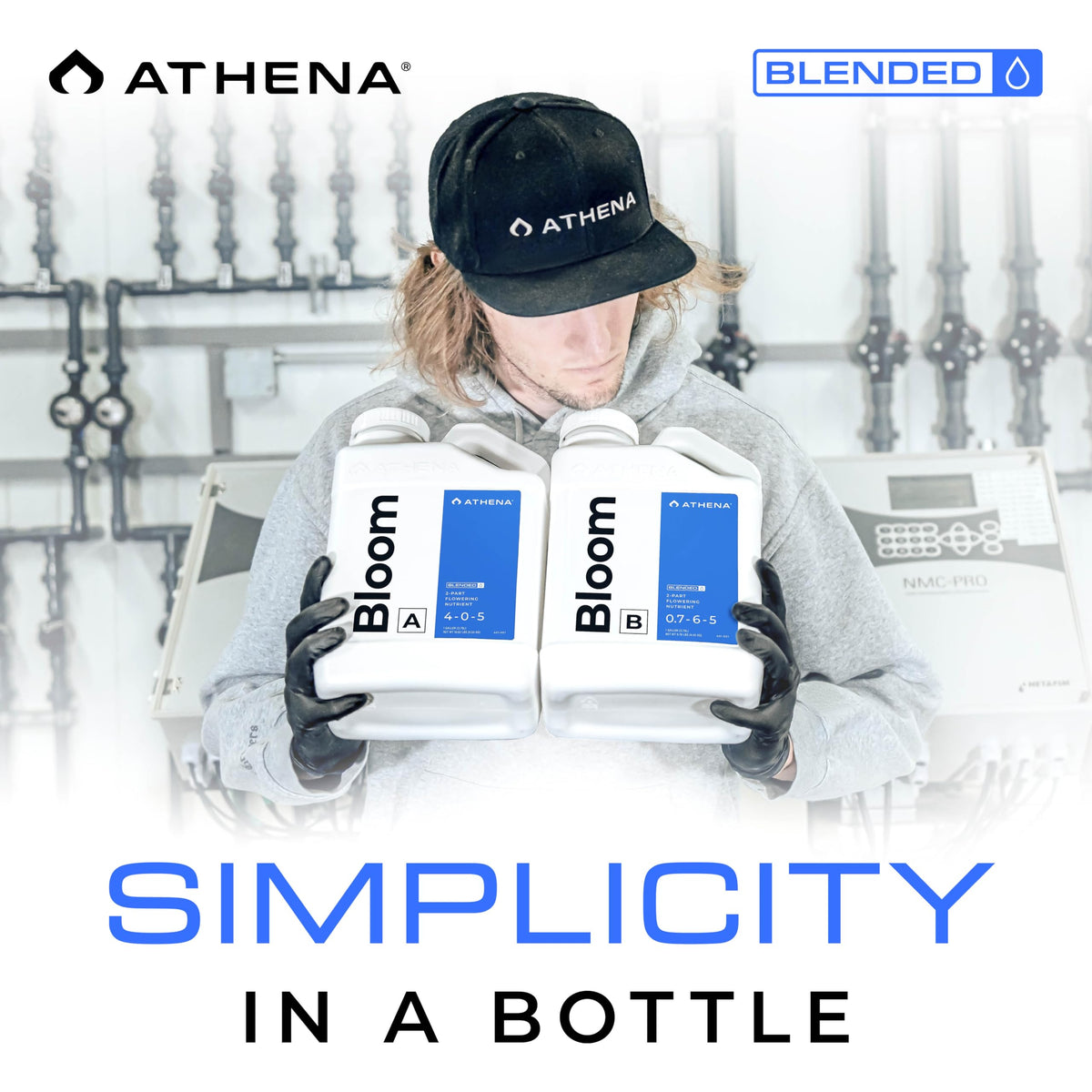 Athena Blended Bloom A&B in a greenhouse promoting vibrant colors and fruit.