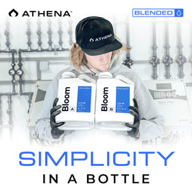 Athena Blended Bloom A&B in a greenhouse promoting vibrant colors and fruit.