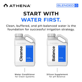 Athena Blended Cleanse dosing steps for simple maintenance