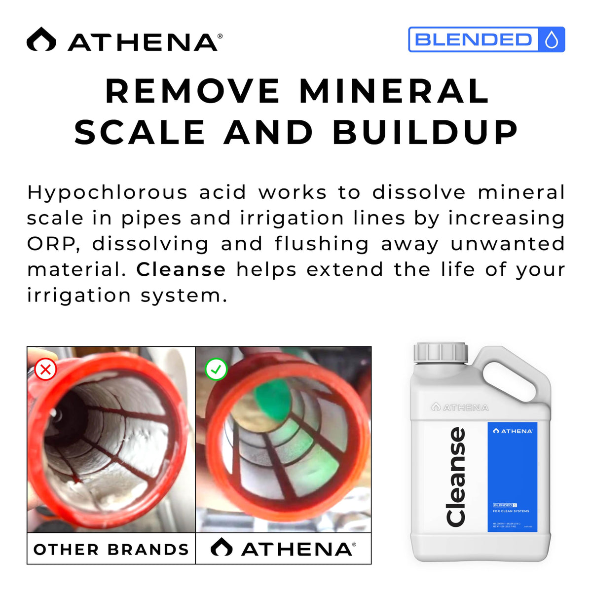 Athena Blended Cleanse removes mineral-scale buildup for clear lines