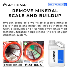 Athena Blended Cleanse removes mineral-scale buildup for clear lines