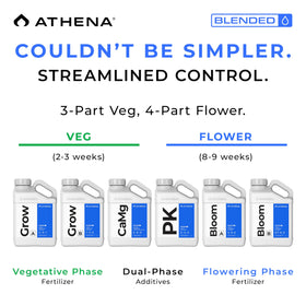 Athena Blended PK bloom booster dosing system shows simple integration into feeding