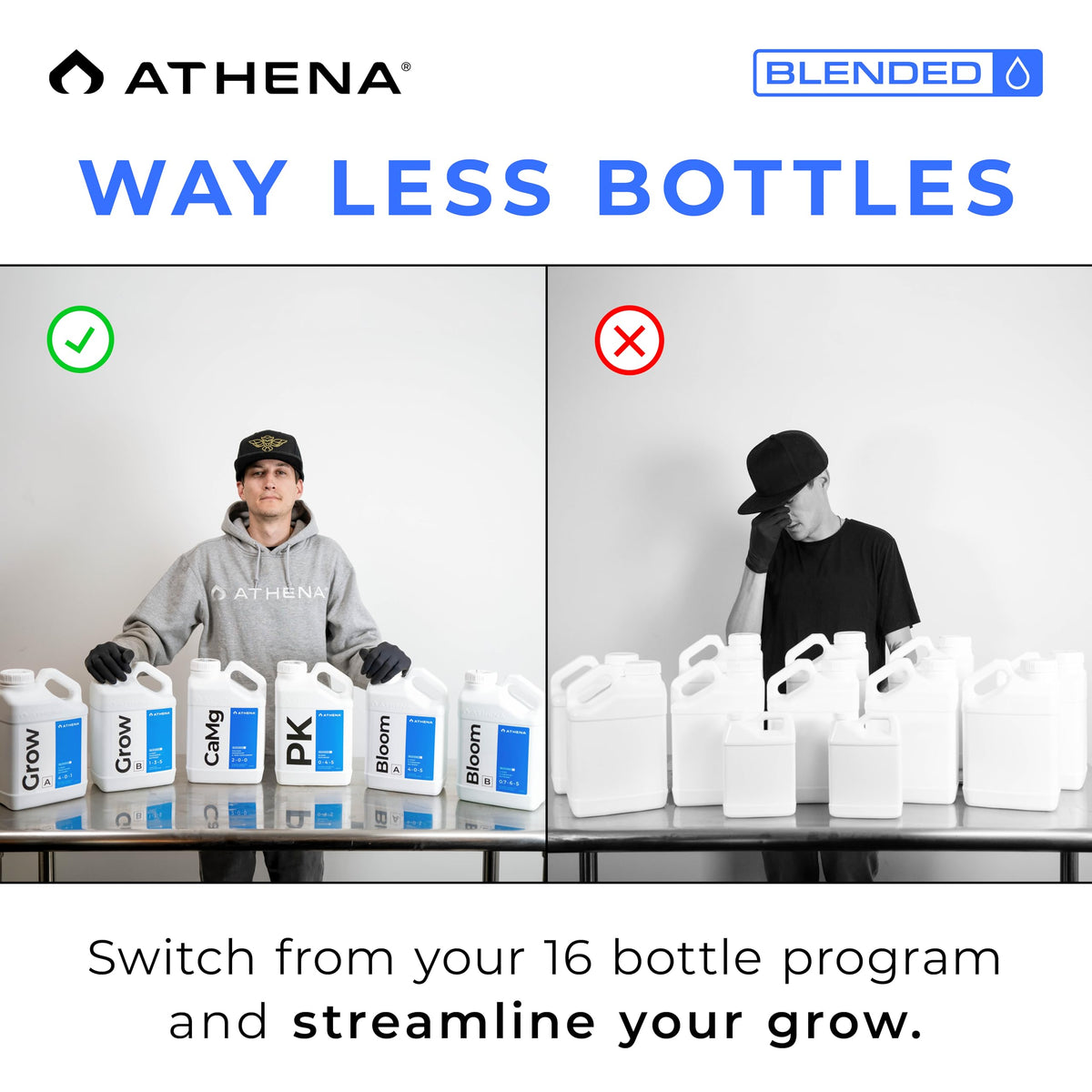 Athena Blended PK bloom booster promotes vibrant flower development