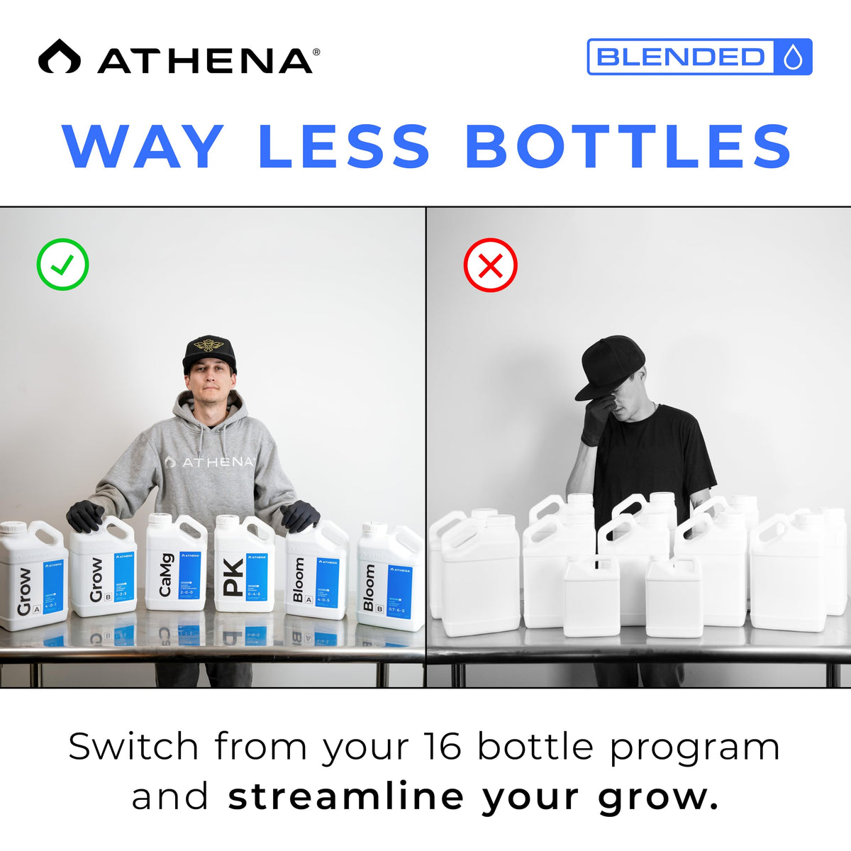 Hydroponic setup with Athena Cal-Mag boosting nutrient uptake