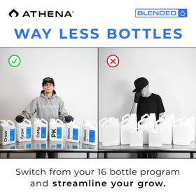 Hydroponic setup with Athena Cal-Mag boosting nutrient uptake