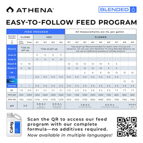 Healthy green leaves supported by Athena Cal-Mag for robust foliage
