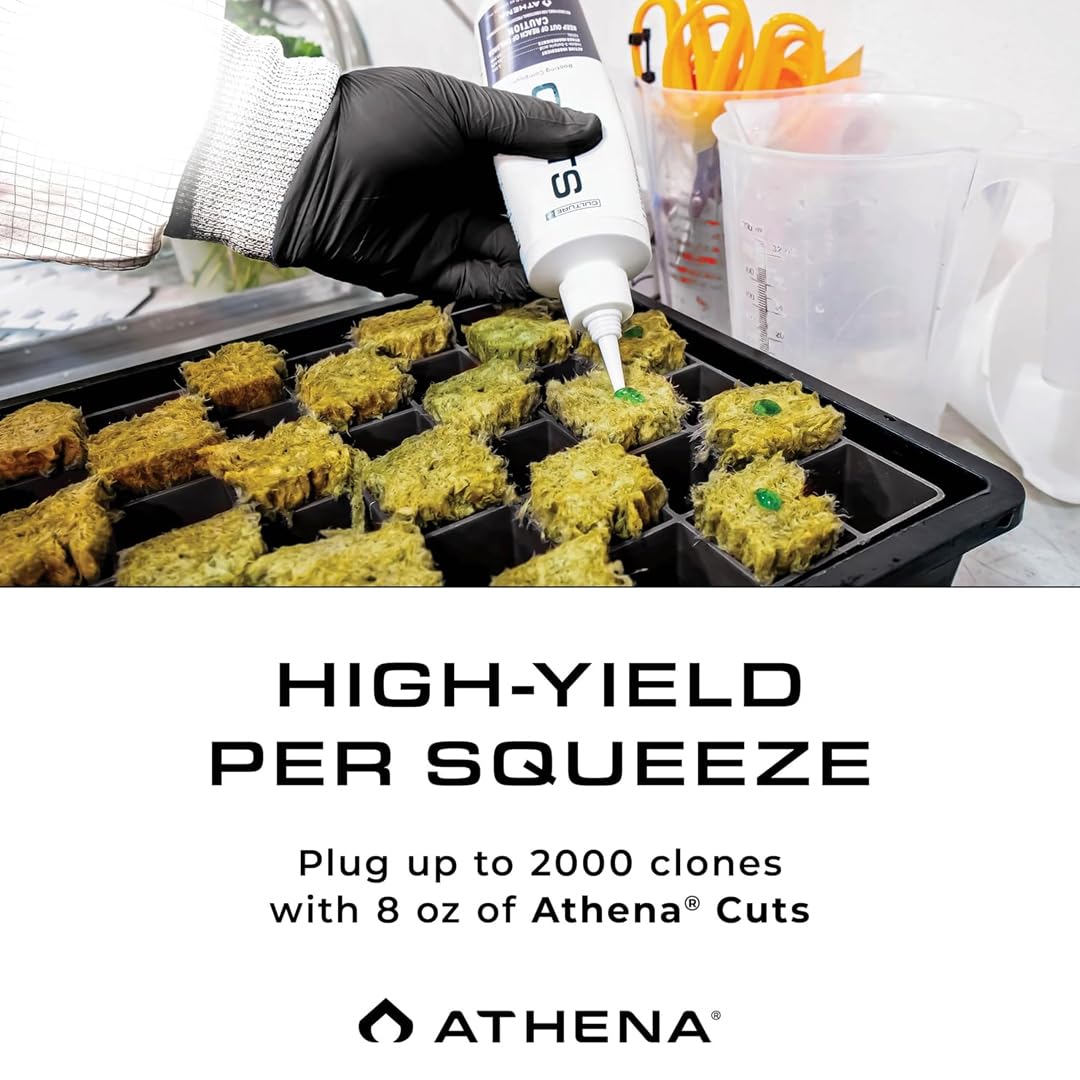Athena Rooting Gel close-up of root development under gel influence