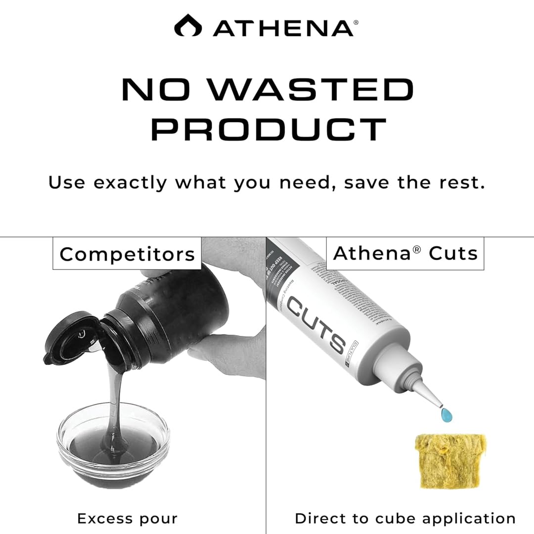 Athena Rooting Gel applied to woody cuttings to encourage strong roots