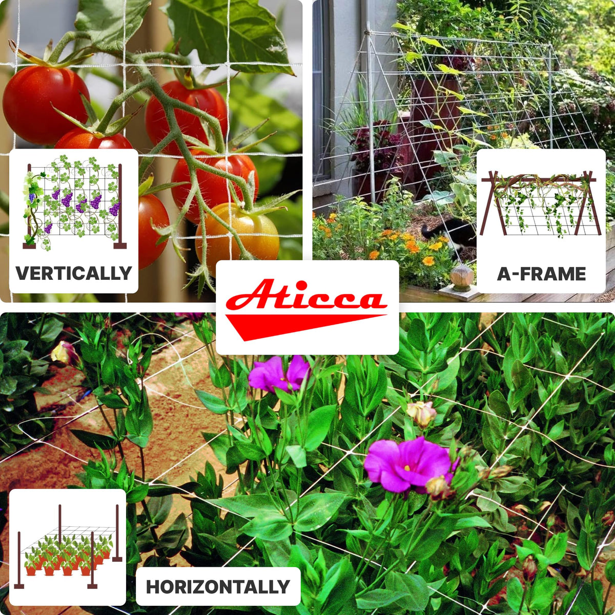 ATICCA Trellis netting supports tomatoes and peas with reliable structure.