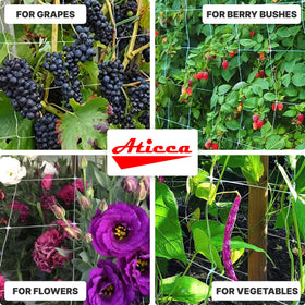 ATICCA trellis supports cucumbers as they spread along the white netting