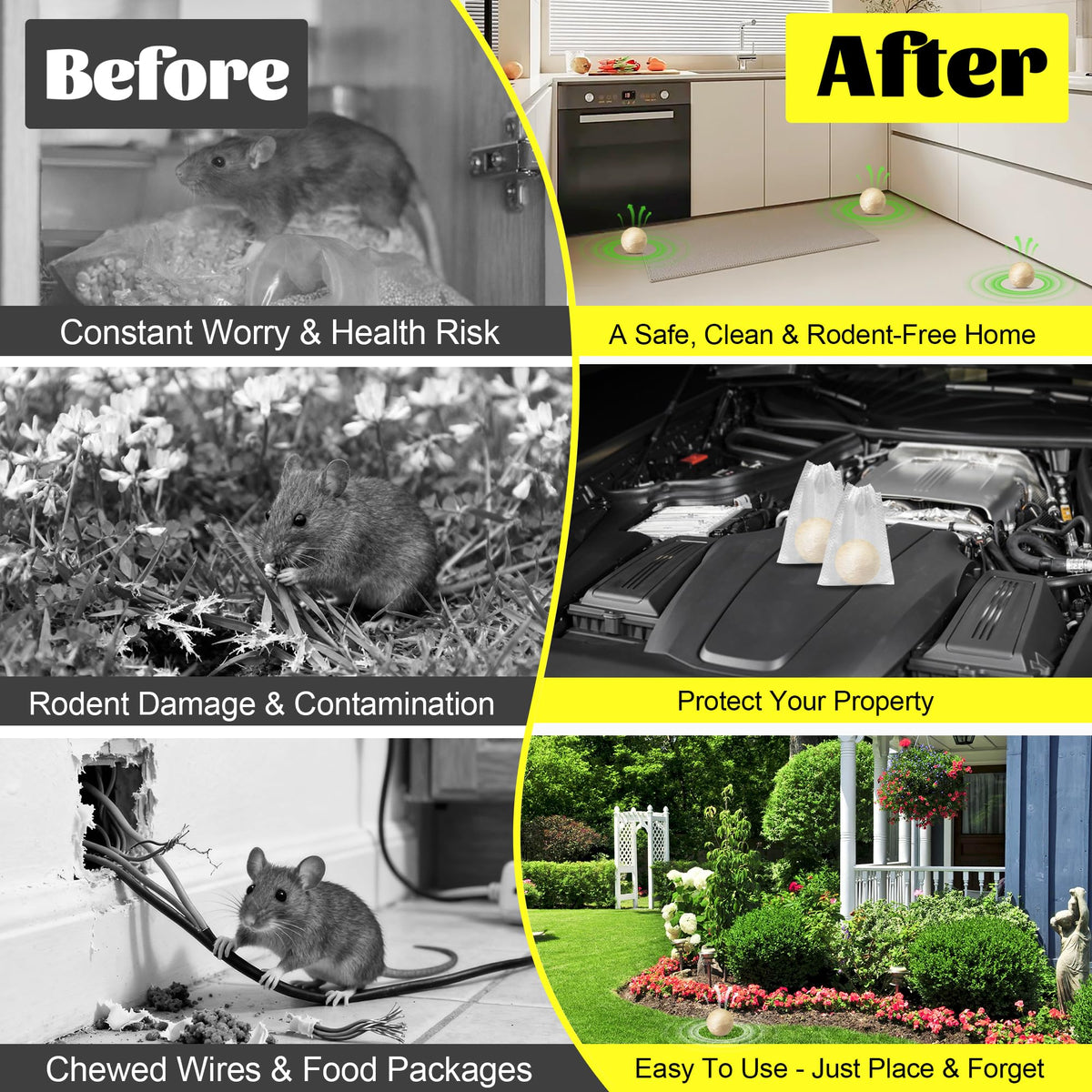Indoor and outdoor placement for attics, garages, and sheds.