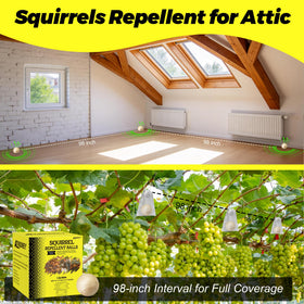 Atindirey Squirrel Repellent Ball shields bird feeders from disturbance.