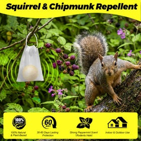 Atindirey Squirrel Repellent Ball for indoor use blocks rodent activity inside.