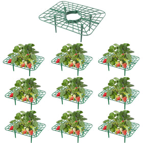 ATLIKE 10Pack Strawberry Plant Support elevates berries for cleaner harvest