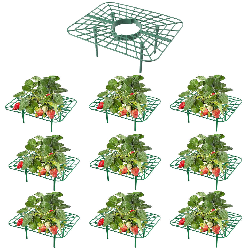 ATLIKE 10Pack Strawberry Plant Support elevates berries for cleaner harvest
