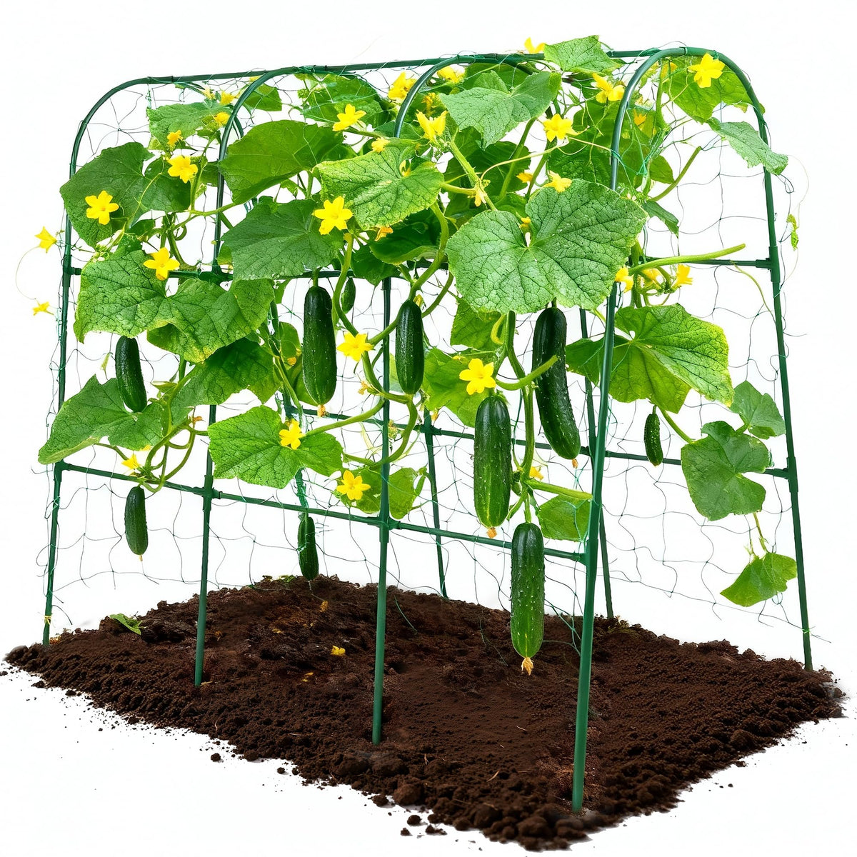 ATLIKE cucumber trellis U-shape arch with netting supports climbing vines for raised beds.
