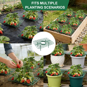 ATLIKE Square strawberry frame provides stable support in beds and pots