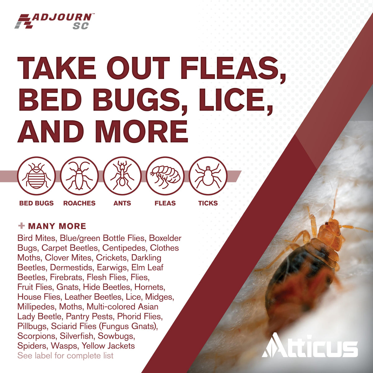 Atticus Adjourn SC mattress and furniture treatment targets hidden pests