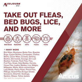 Atticus Adjourn SC mattress and furniture treatment targets hidden pests