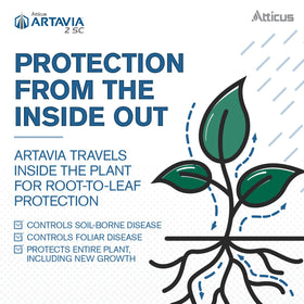 Atticus Artavia protecting ornamental plants in a garden setting.