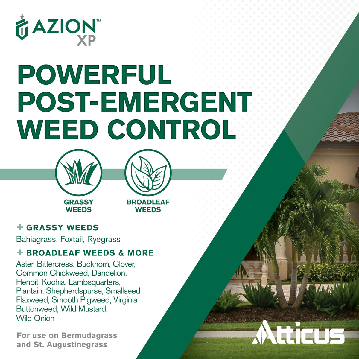 Root uptake action of Atticus Azion XP inhibiting weed growth
