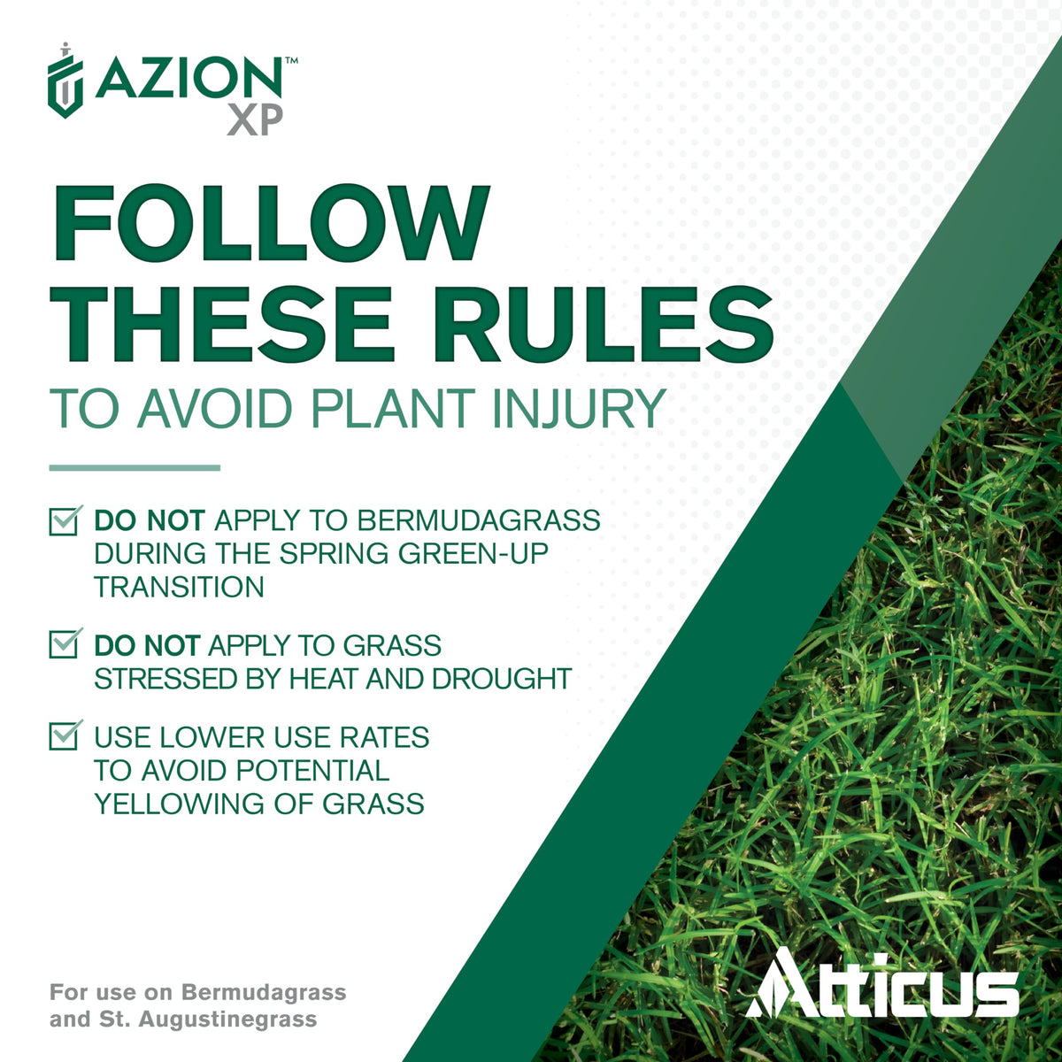 St. Augustine turf area after Atticus Azion XP treatment