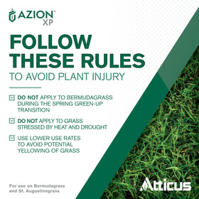 St. Augustine turf area after Atticus Azion XP treatment