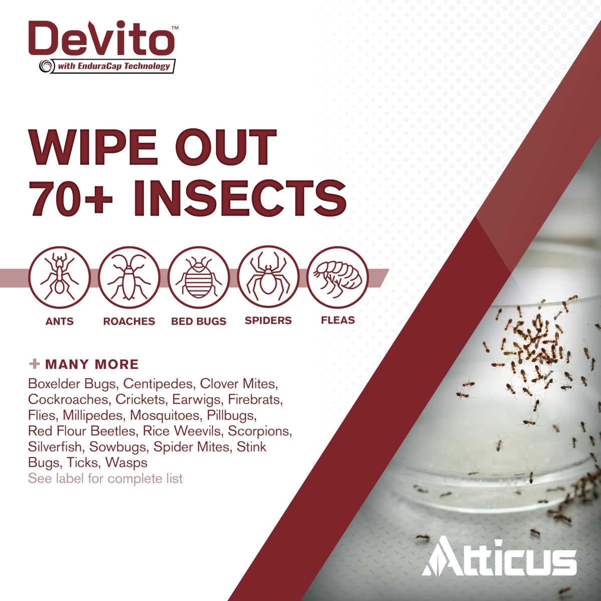 Atticus Devito CS being used indoors and outdoors for versatile pest control.