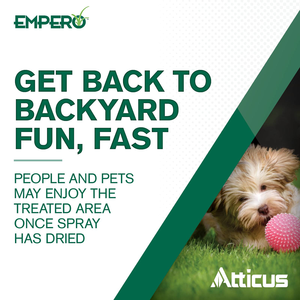 Atticus Empero lawn before and after glimpse of improved turf.