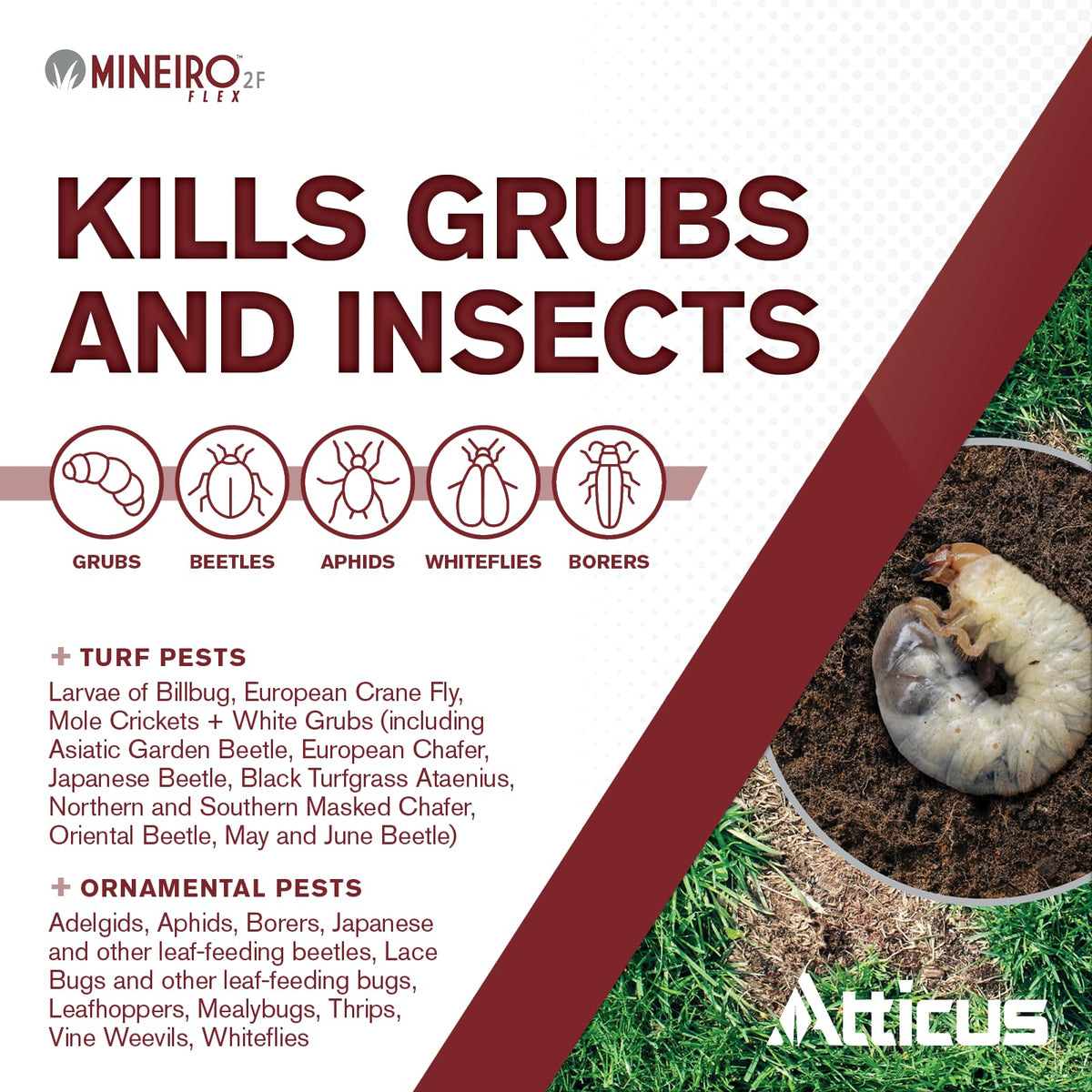 Atticus Mineiro 2F Flex on a lawn displaying preventive grub control in action