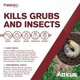 Atticus Mineiro 2F Flex on a lawn displaying preventive grub control in action