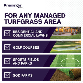 Atticus Pramaxis MEC turf treatment promotes stress tolerance for heat and drought endurance