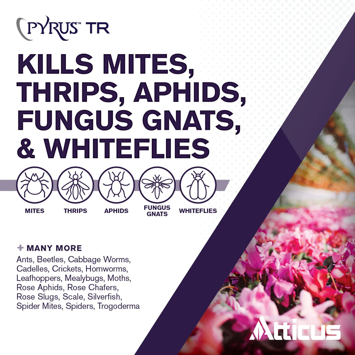 Atticus Pyrus TR Greenhouse Fogger bottle highlights ready-to-use pest control for greenhouses