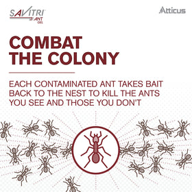 No residue and no odor after Savitri application