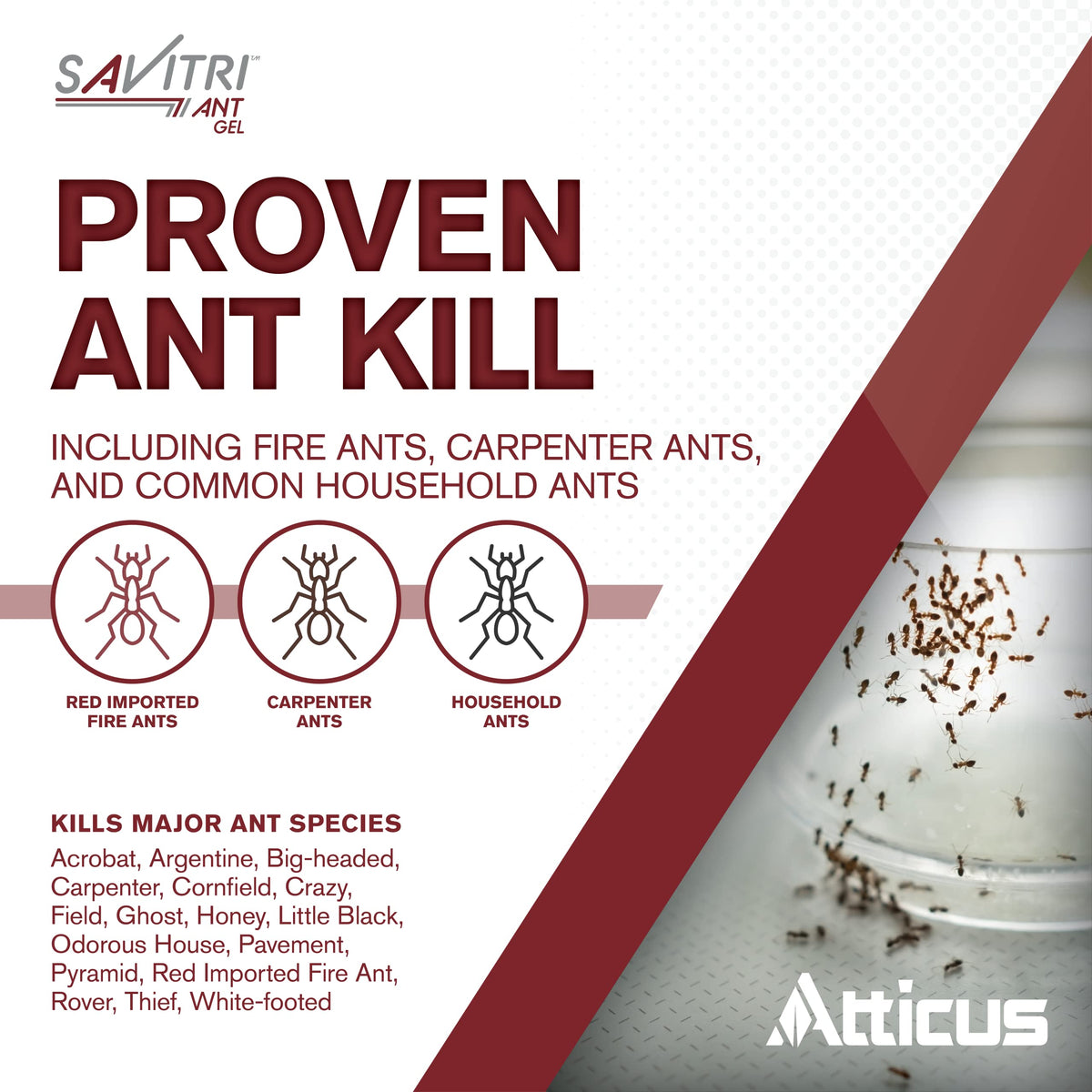 Prefilled syringe demonstrates easy application near ant trails