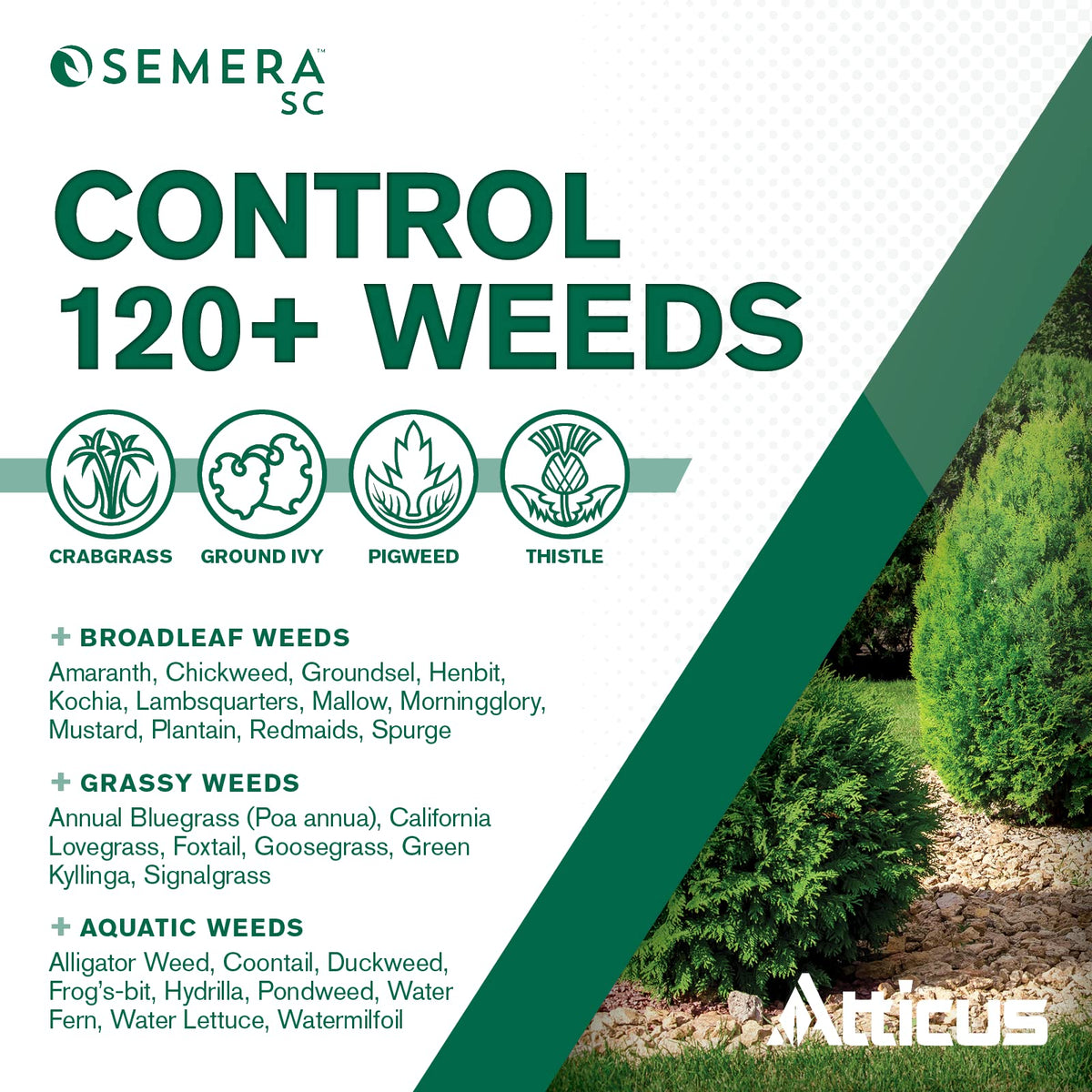 Atticus Semera SC used in landscape settings for weed prevention.