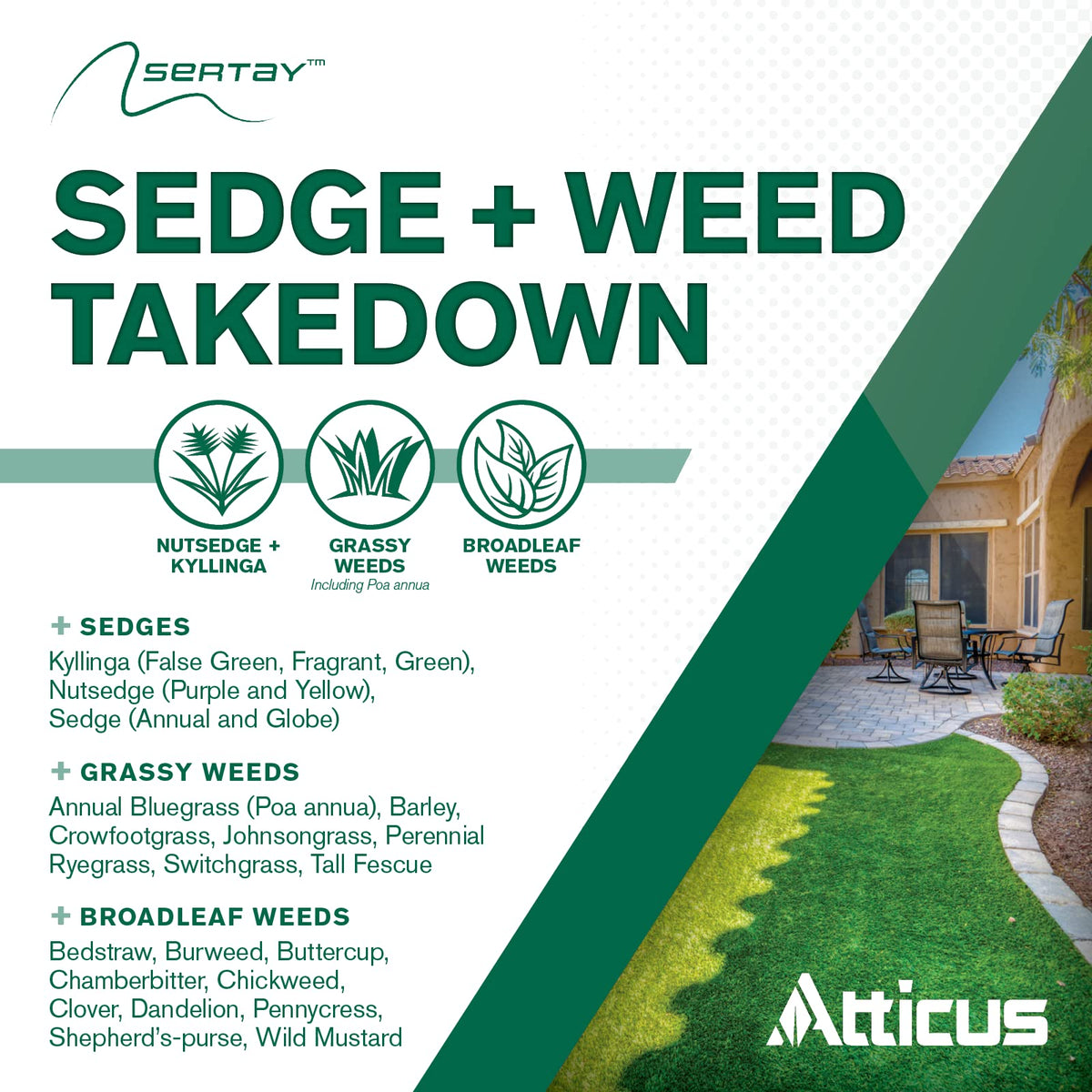Close-up of sedge and nutsedge weeds targeted by Atticus Sertay
